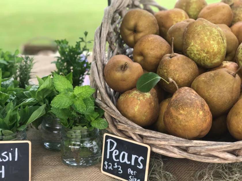 Seaside Farmers Market